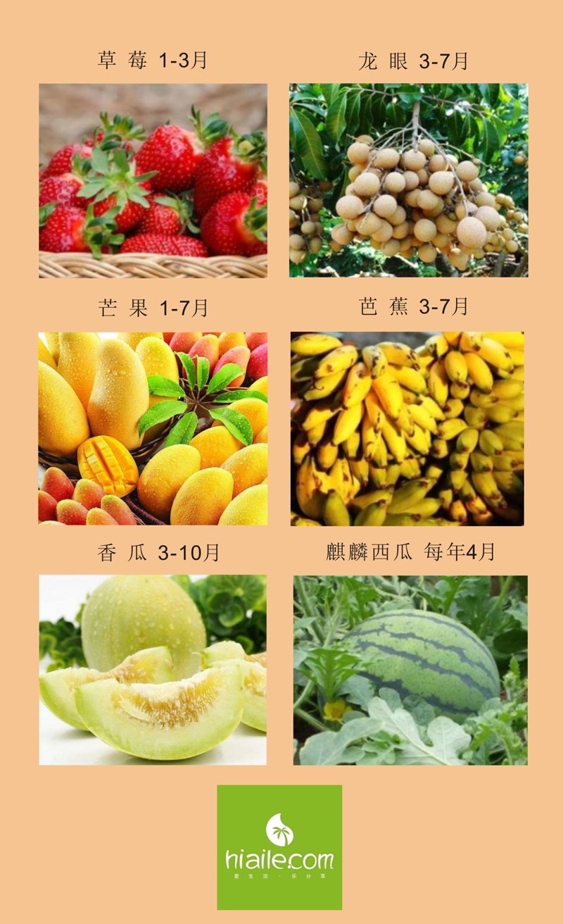 享受自然采摘乐趣——水果采摘园选购指南